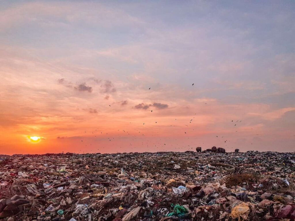 Environmental trash, trash land, trash dump, Together We Can Make The World A Better Place