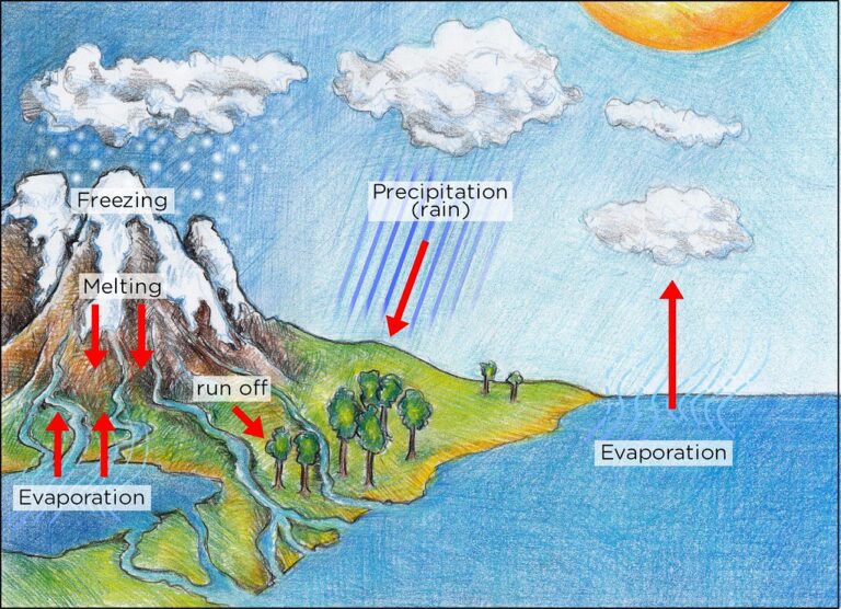 Lesson Note on Water Cycle for Primary 4