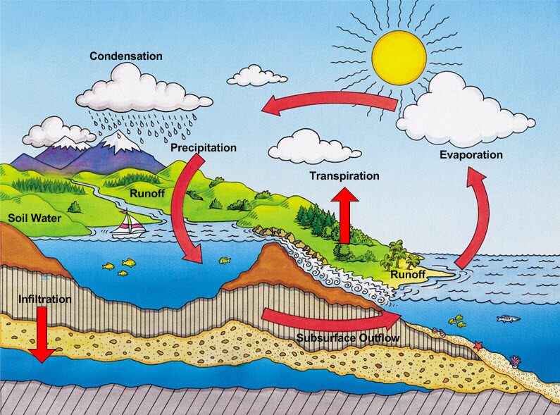 Formation of Rain,water cycle