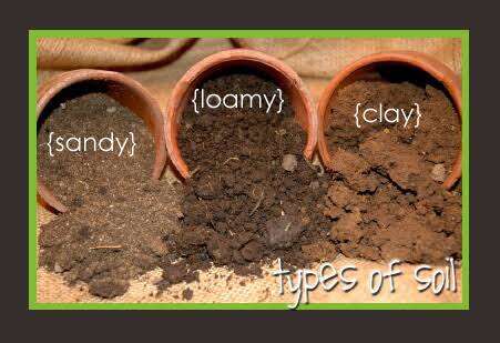Lesson Note On Soil (Basic 1)